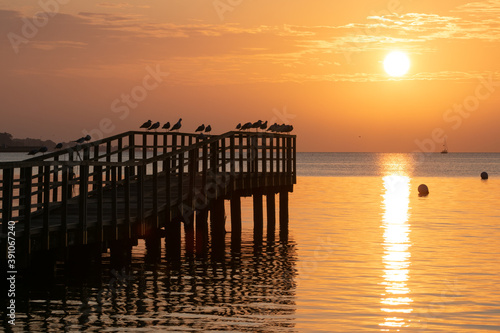 silhouette of gulls on a jetty with gorgeous golden sunrise scenery