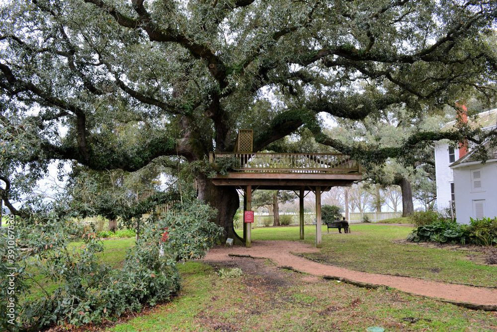Typical tree house terrace on the big tree in the garden in Richmond, Texas, US