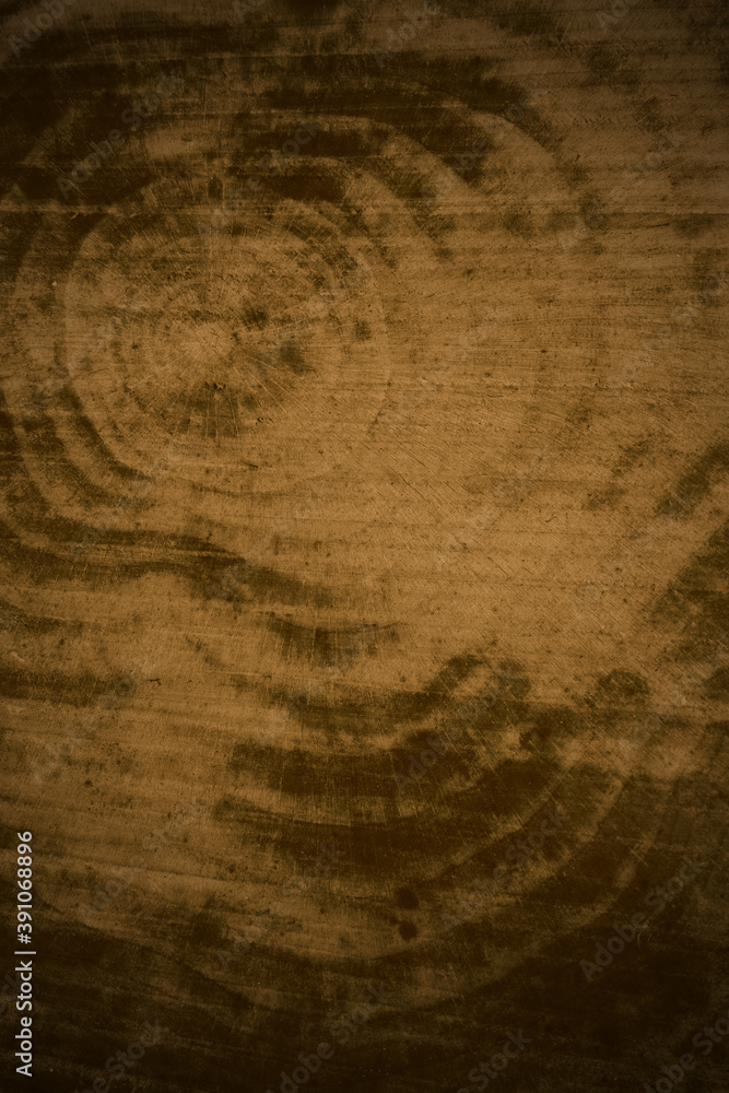 Naklejka premium detail of wood trunk