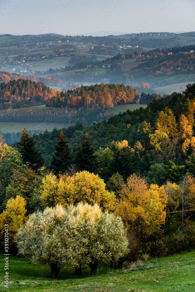 Fototapeta premium Colorful Foliage on Trees and Rolling Hills in Fog at Autumnal Sunrise