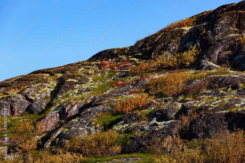Mountain slopes on a sunny day with autumn vegetation. Kola Peninsula, Russia.