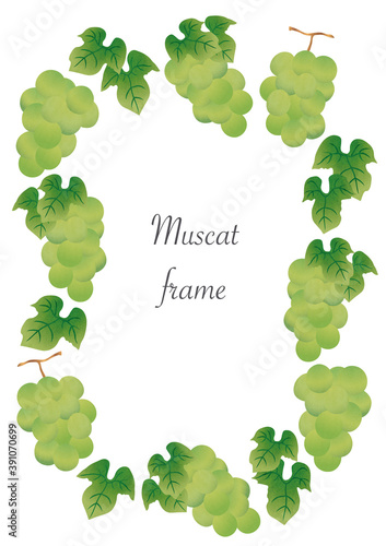 illustration frame of muscat and leaf（vertical）