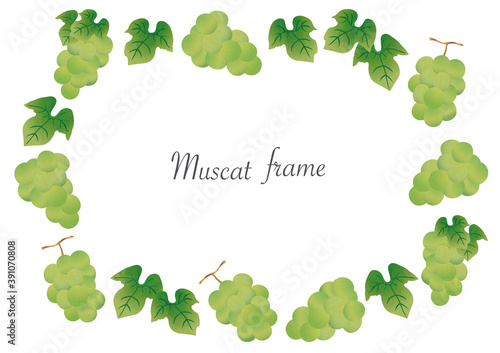 illustration frame of muscat and leaf（side）