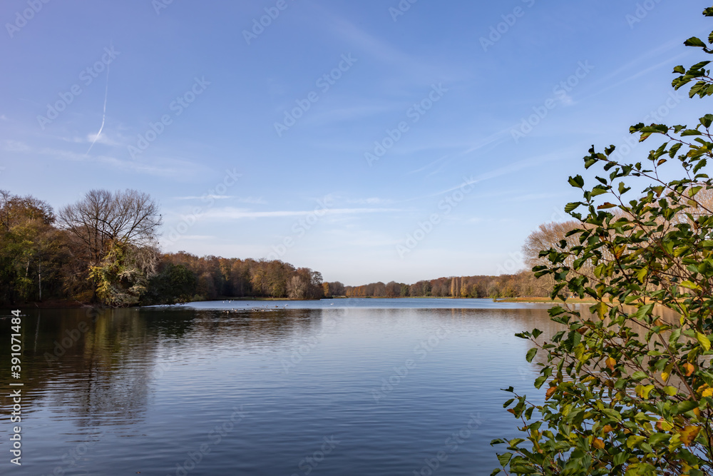 Fototapeta premium view on a lake with reflections of trees in the water