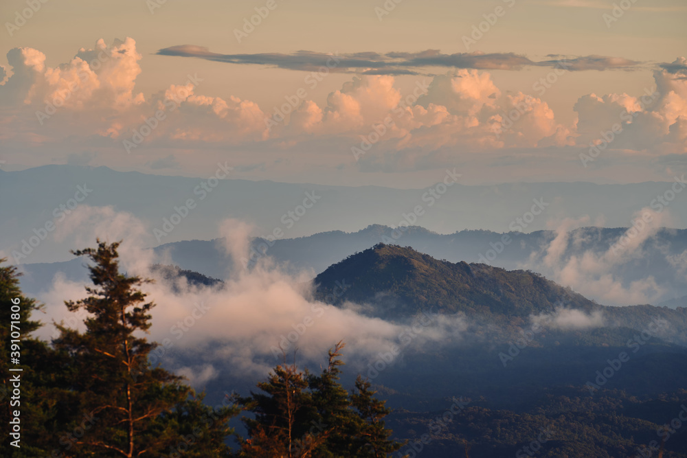 Fog over the Doi Inthanon mountain, Chiang Mai Thailand. The highest peak of Thailand