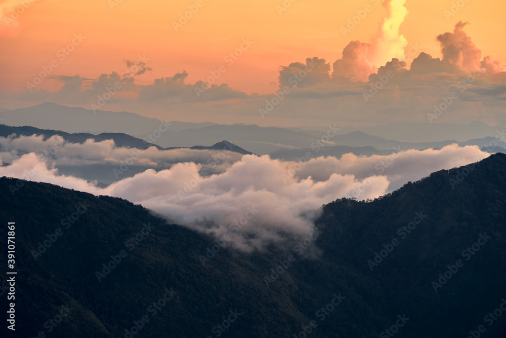 Fog over the Doi Inthanon mountain, Chiang Mai Thailand. The highest peak of Thailand