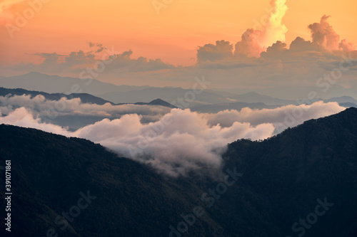 Obraz na płótnie Fog over the Doi Inthanon mountain, Chiang Mai Thailand. The highest peak of Thailand w salonie