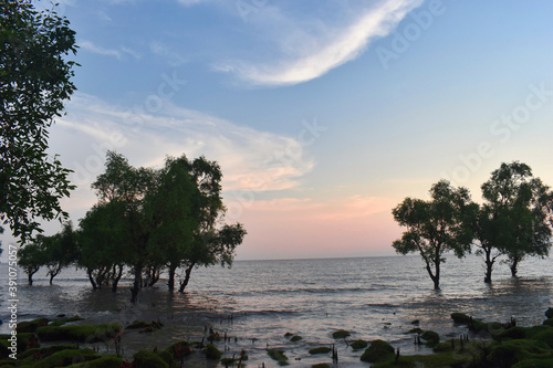 Guliakhali sea beach is one of the lesser known beaches of Bangladesh.