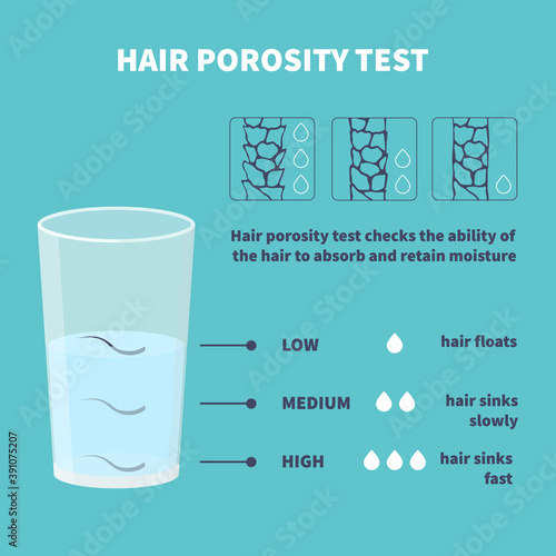 Natural hair porosity float test infographics. Strand with low, normal and high cuticle porosity in a glass of water. Anatomical structure scheme vector illustration. 