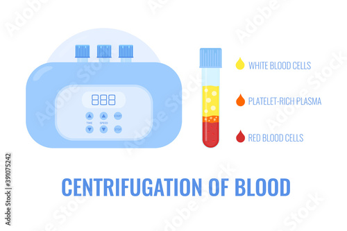 Blood after separation of platelets in the centrifuge. PRP test tube laboratory equipment. Platelet-rich plasma for patient treatment. Regenerative medicine concept. Vector illustration.
