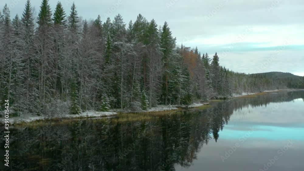 AERIAL shot tracking a frozen lakeside forest in Sweden AERIAL shot tracking a frozen lakeside forest in Sweden