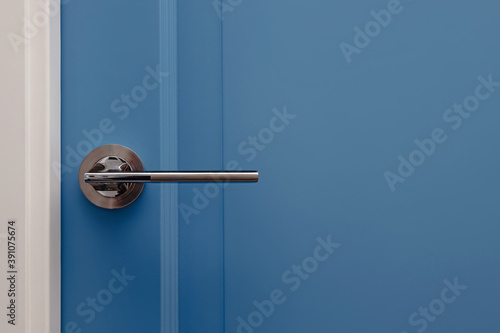 Blue colored door in modern design apartment © Diana Vyshniakova