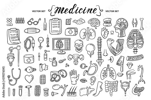 Vector cartoon set on the theme of medicine, human organs, anatomy. Isolated hand drawn doodles, icons. Treatment, health and healthcare symbols. Line art for use in design