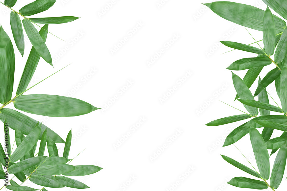 Green bamboo leaf frame Green bamboo leaf frame