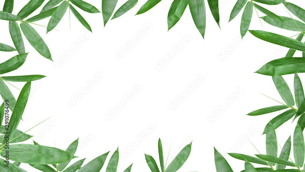 Green bamboo leaf frame