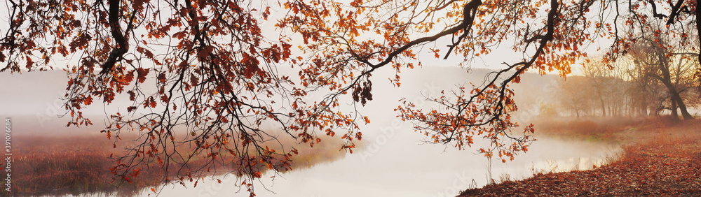 Banner autumn landscape tree branches with yellow leaves over river in fog Banner autumn landscape tree branches with yellow leaves over river in fog