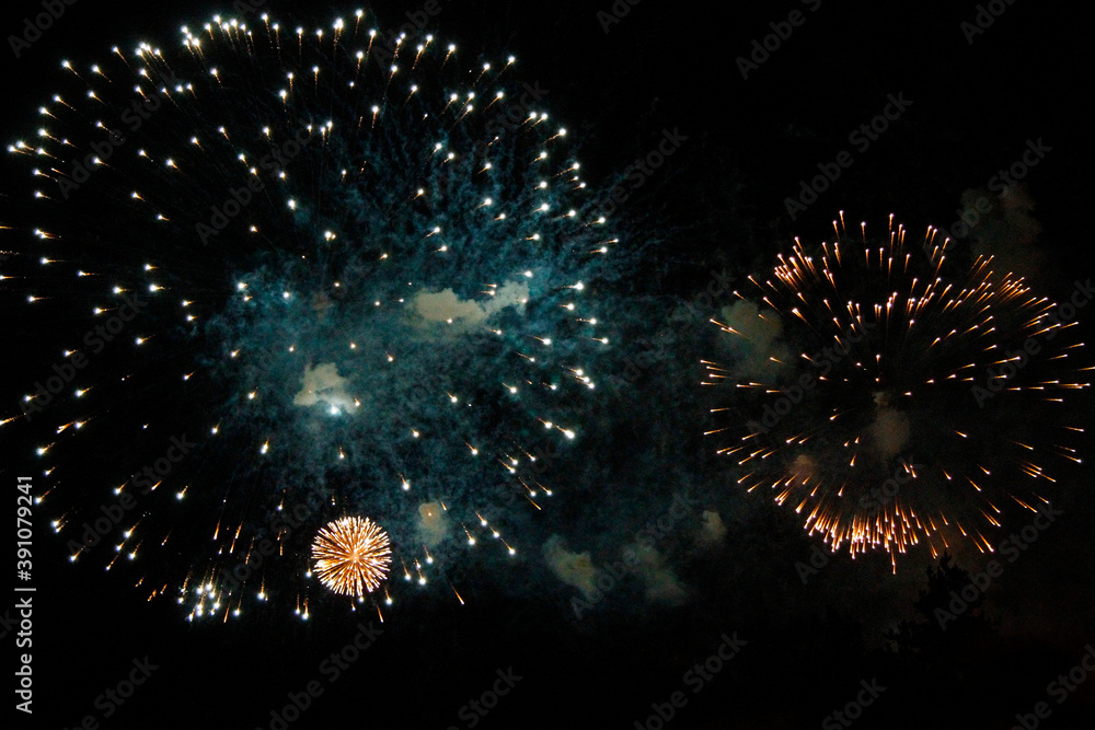 Celebration firework in the black night sky Celebration firework in the black night sky
