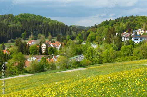 Ortsende von Trochtelfingen mit Ausblick auf die Landesstrasse L313 photo