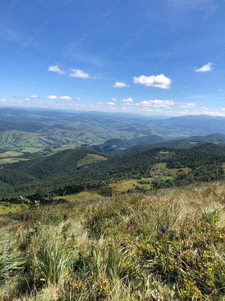 Naklejka premium landscape with sky