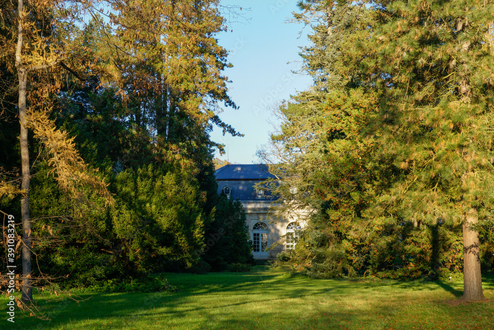 The public park in Dresden Pillnitz with the orangery in the back