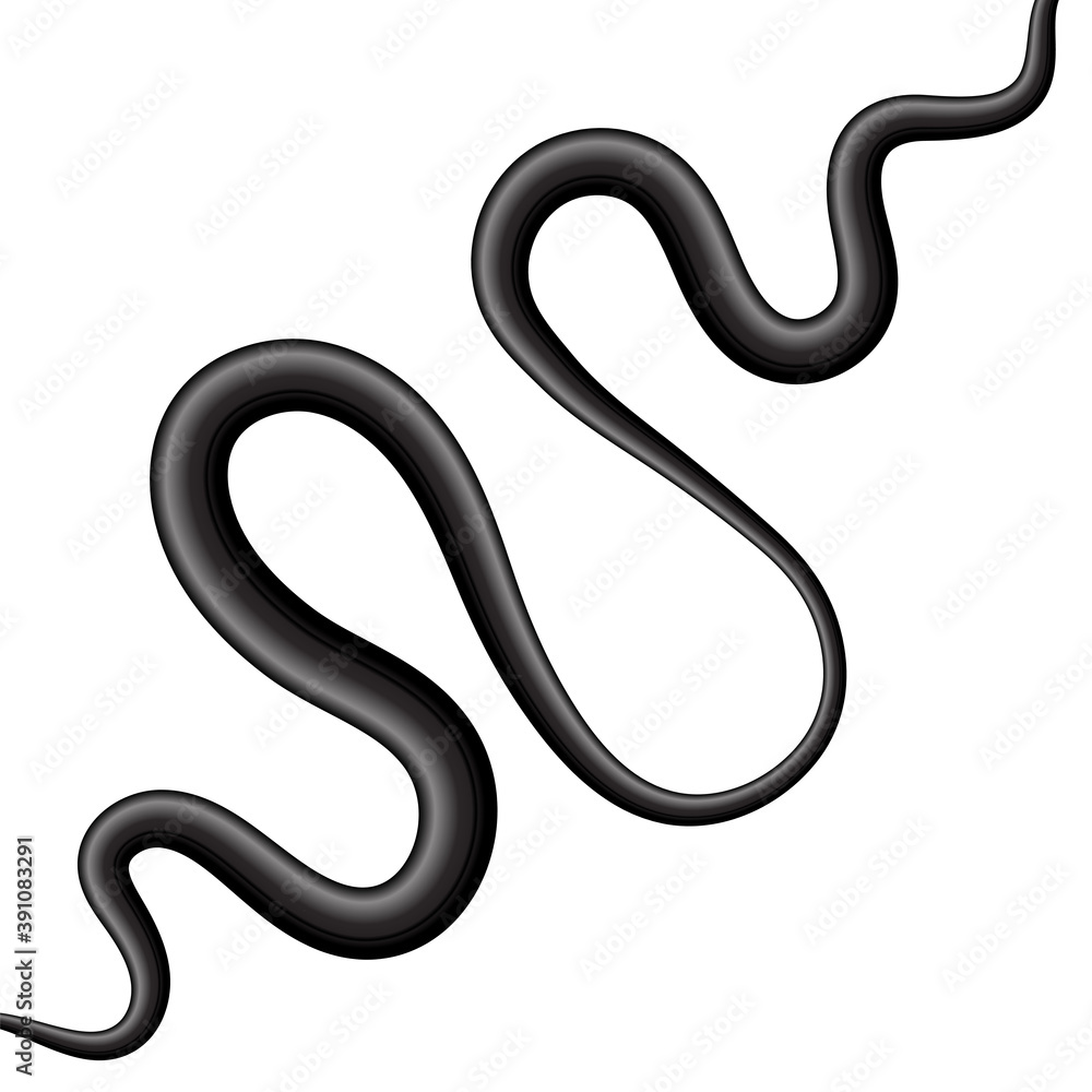 Obraz premium Coaxial Digital Cable Isolated on White Background.