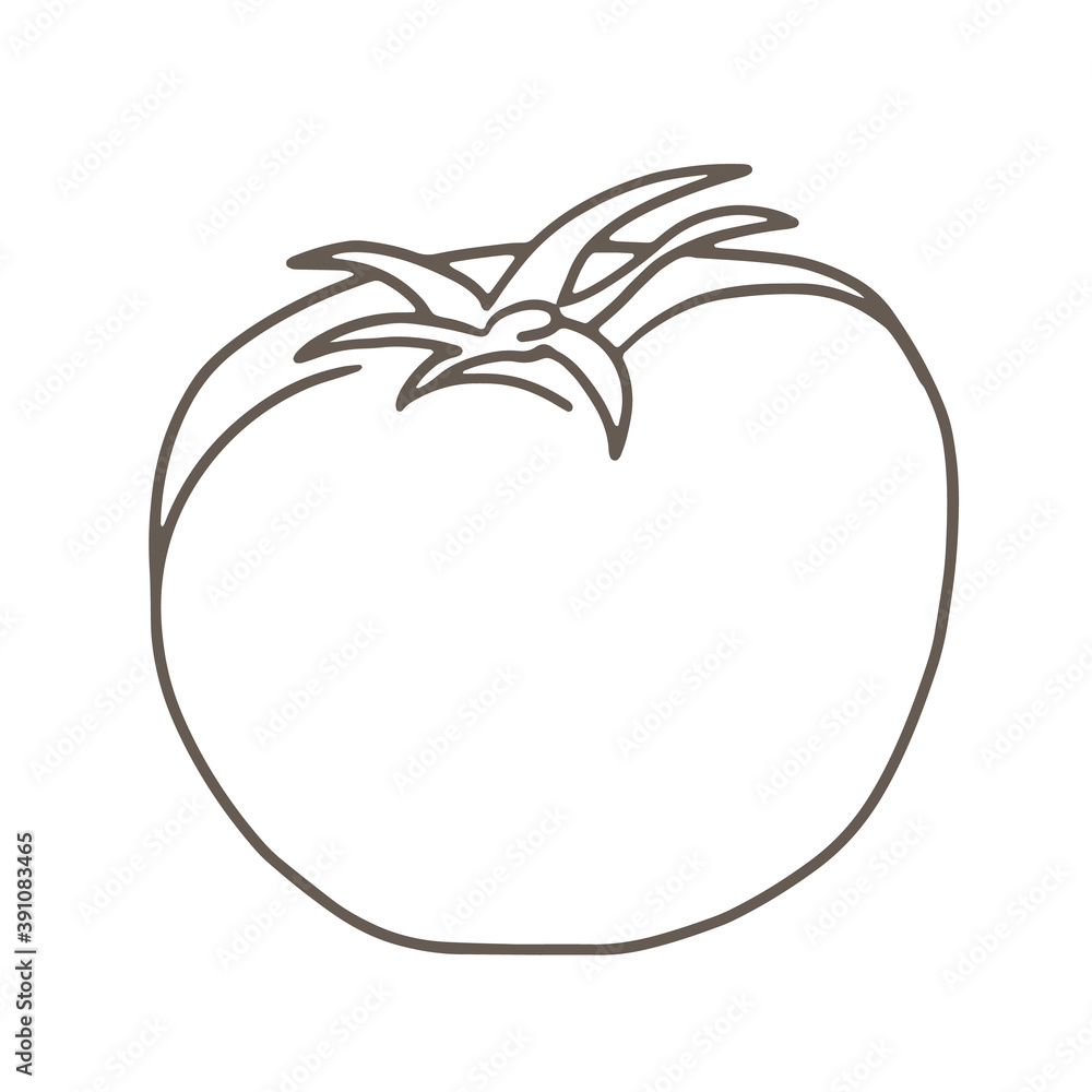野菜のイラスト トマト 線画 Stock Vector Adobe Stock 野菜のイラスト トマト 線画 Stock Vector Adobe Stock
