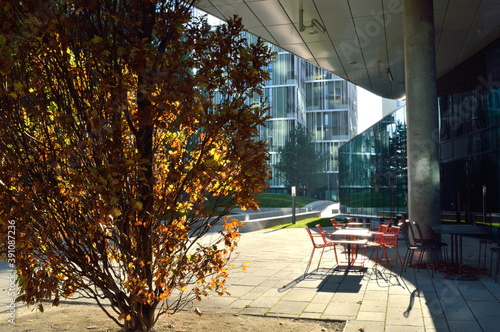 coronavirus. the cafe is closed. autumn evening