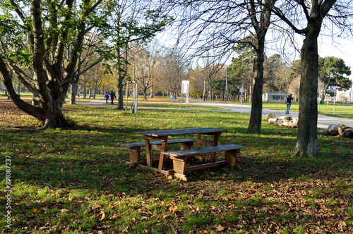 autumn evening. a park. park bench