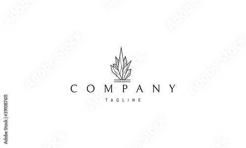 Vector logo on which an abstract image of crystals in the form of a fire.