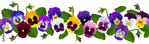 Border flowers Pansies, flowers yellow, purple, blue, lilac, white, leaves. Seamless flower border for decoration. Vector image.