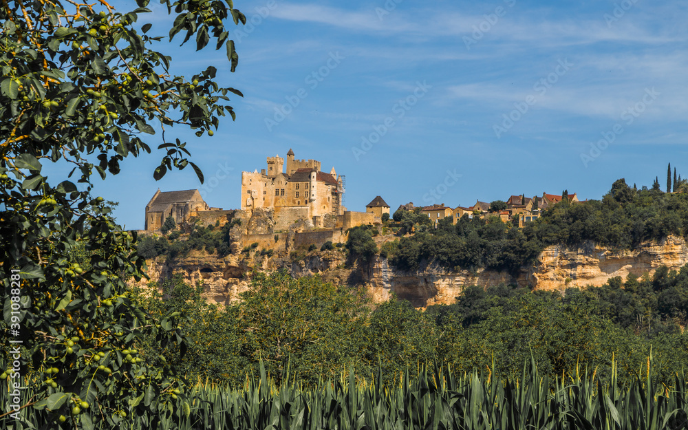 Chateau de Beynac, medieval castle  rising on a limestone cliff above the River Dordogne in the village of Beynac-et-Cazenac. Walnut tree in the foreground. Dordogne, Aquitaine, France.
