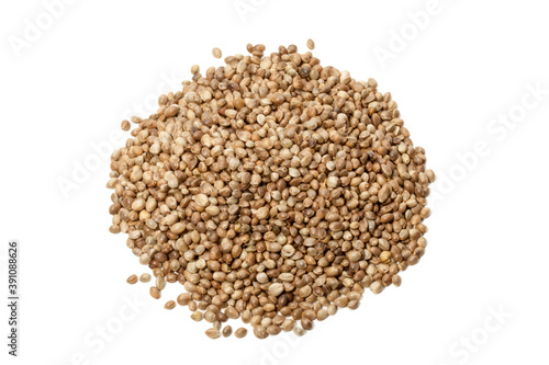 Cannabis seeds isolated on white background. Close up. Place for your text.