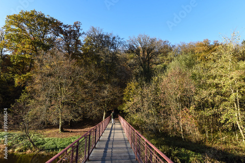 Belgique Wallonie automne nature foret Pont Chiny semois photo