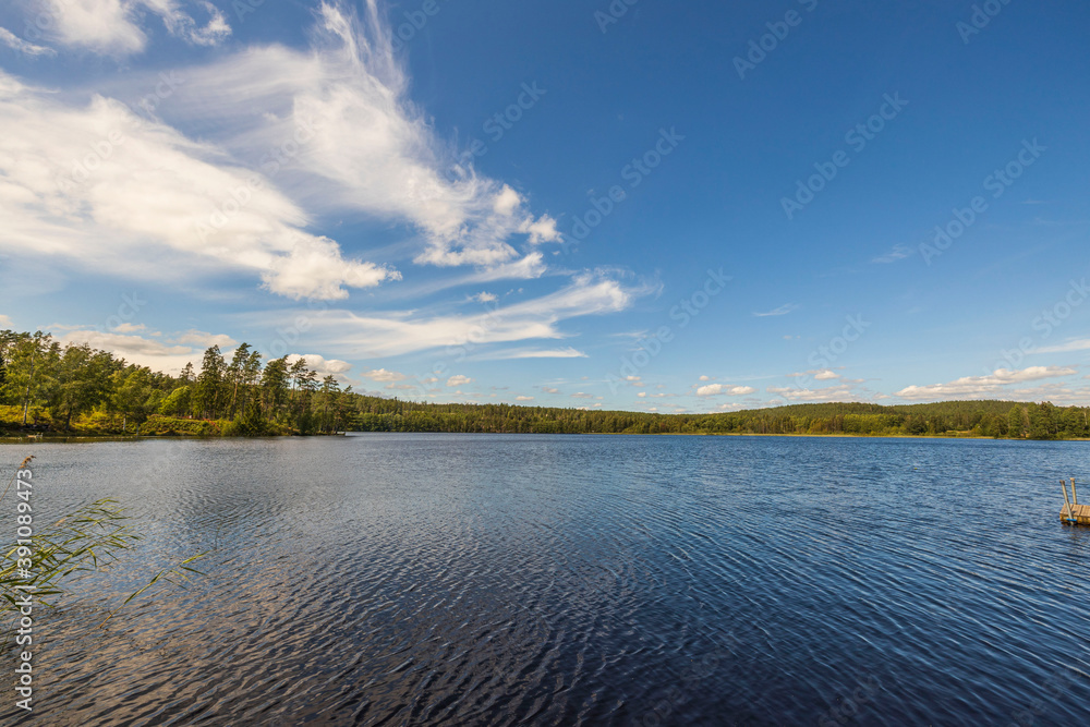 Beautiful view on lake on summer day. Dark  water surface, green pine trees and blue sky with white clouds. Sweden, Europe.