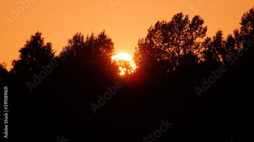 sunset in the forest