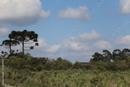 Landscape is a beautiful with sky blue