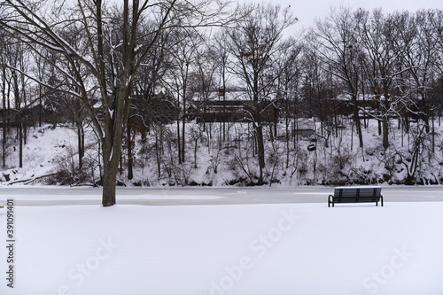 frozen river in snowy day icy park cold winter gloomy day