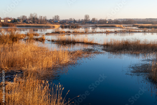 Krajobraz Doliny Narwi, Podlasie, Polska 