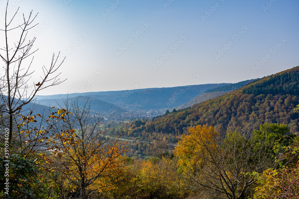 Neckar valley in autumn