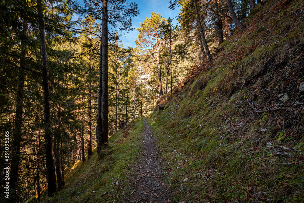 Fototapeta premium path in the forest.schlossbachklamm