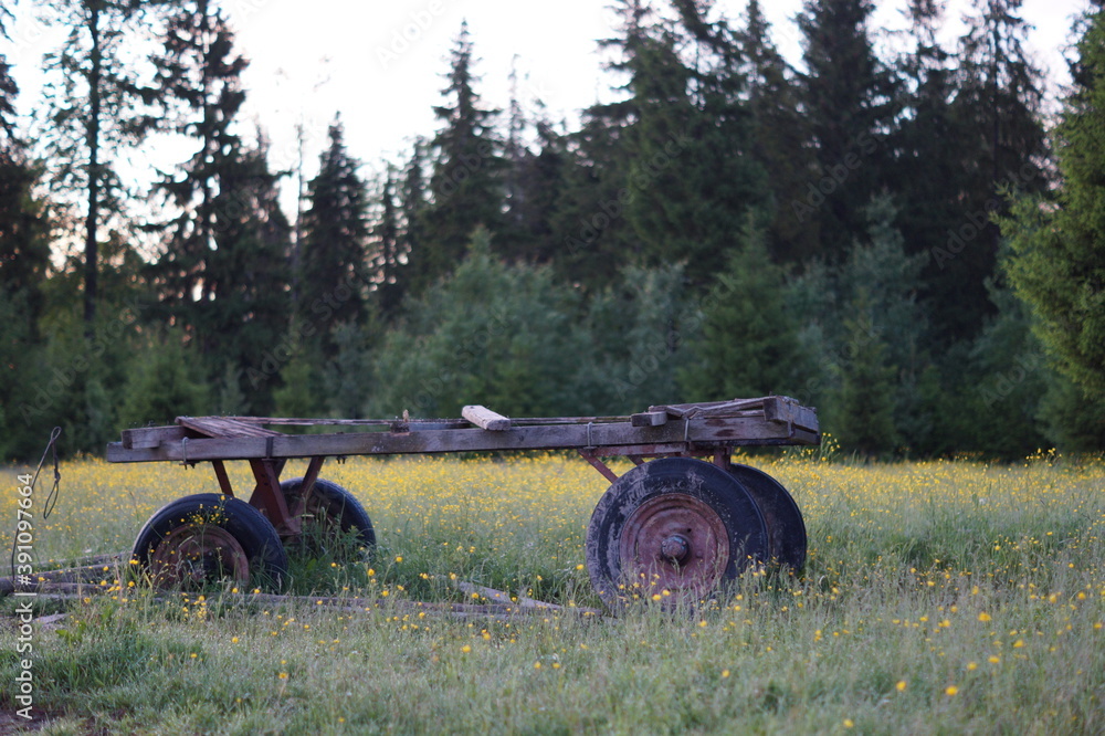 Obraz premium old cart in the field