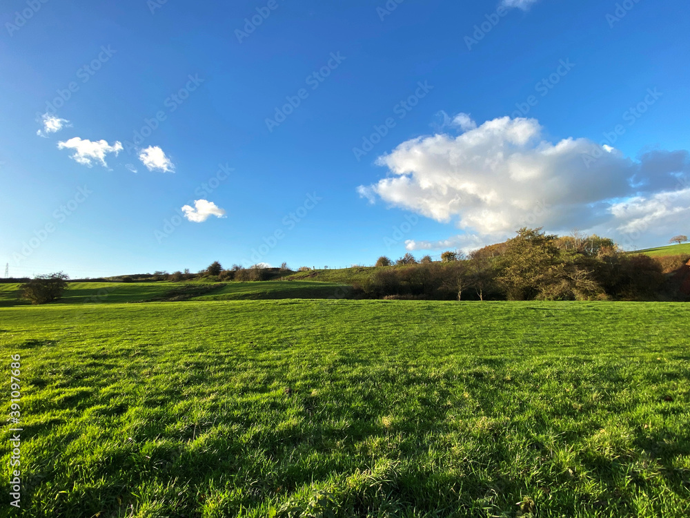 Large uncut meadow, with old trees and clouds, on the horizon in, Tong, Bradford, UK Large uncut meadow, with old trees and clouds, on the horizon in, Tong, Bradford, UK