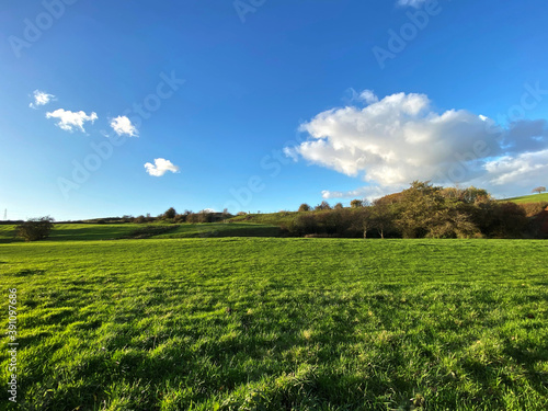 Large uncut meadow  with old trees and clouds  on the horizon in  Tong  Bradford  UK