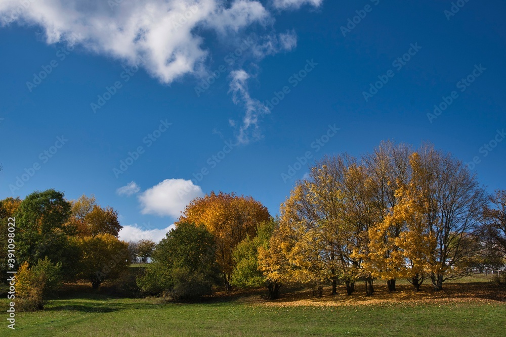 Herbst