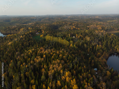 September, 2020 - Solovki. Botanical Garden on Solovki. Russia, Arkhangelsk region