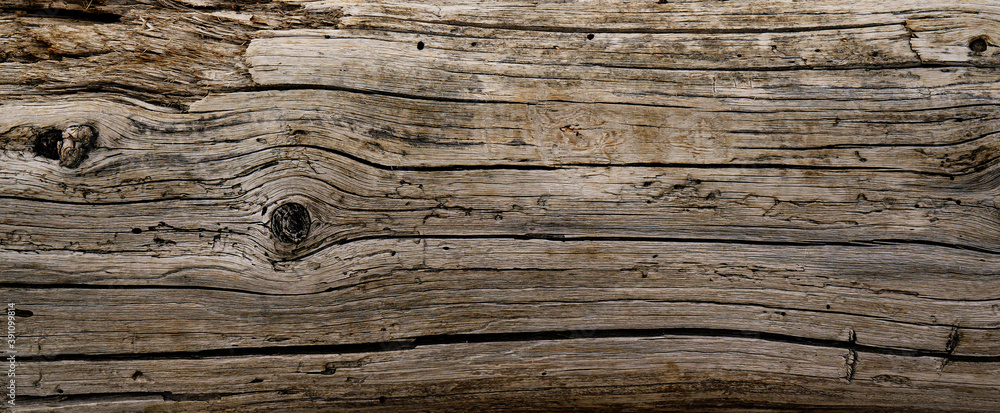 Dry cracked wood texture tree section. Heavy wooden natural beam Dry cracked wood texture tree section. Heavy wooden natural beam