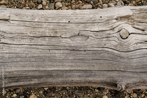 Dry cracked wood texture tree section. Heavy wooden natural beam