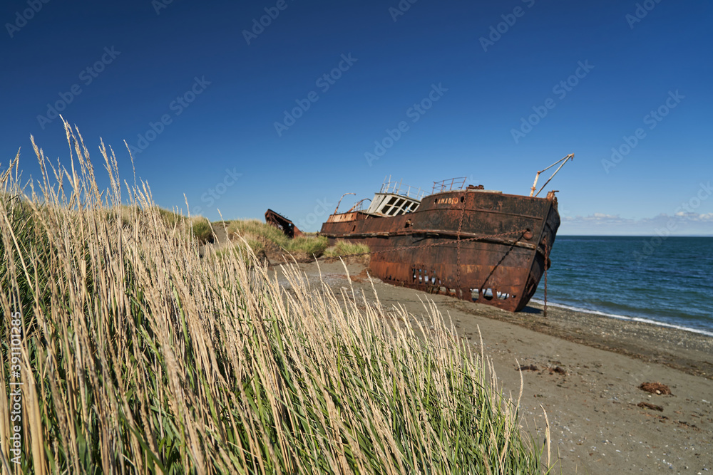 old rusty and rotten ship wreck with holes in its carcass, lying behind long gras on the beach of the coast line of the Strait of Magellan in Patagonia, south America, abandoned places
