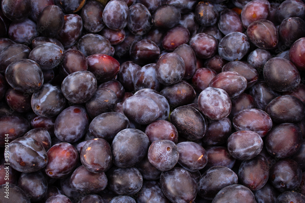 Fototapeta premium Isolated Italian plums at a farmer's market
