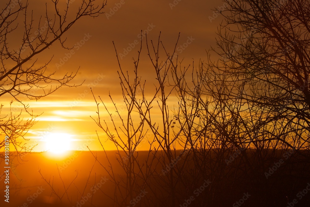 Fototapeta premium sunset 